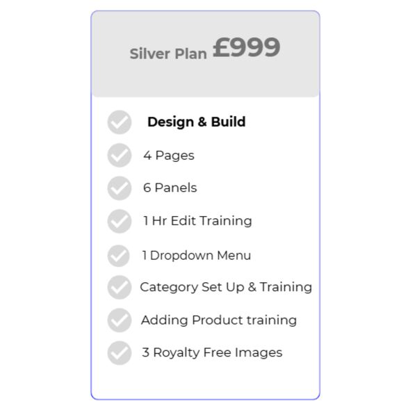 Website Silver Plan Thumbnail